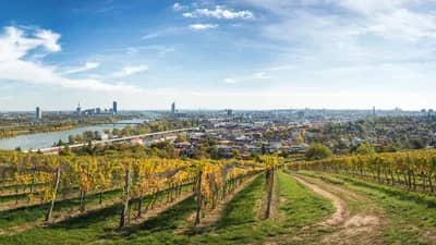 Apartment for rent in 1040 Vienna | Lystio