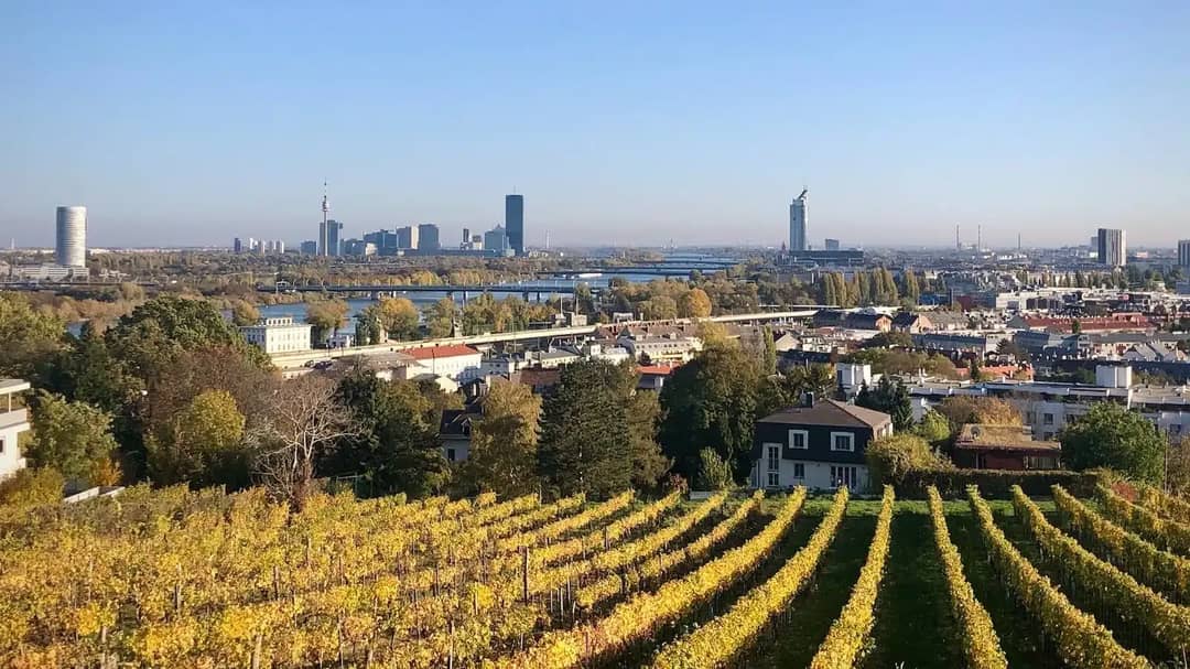 Apartment for rent in 1190 Vienna | Lystio
