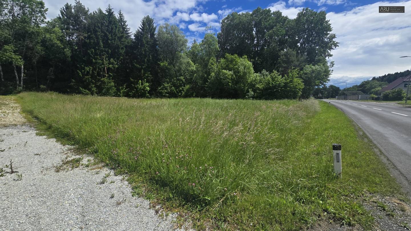 Exklusives, ebenes Baugrundstück mit ca. 1.375 m² – Raum für Visionen und Lebensqualität