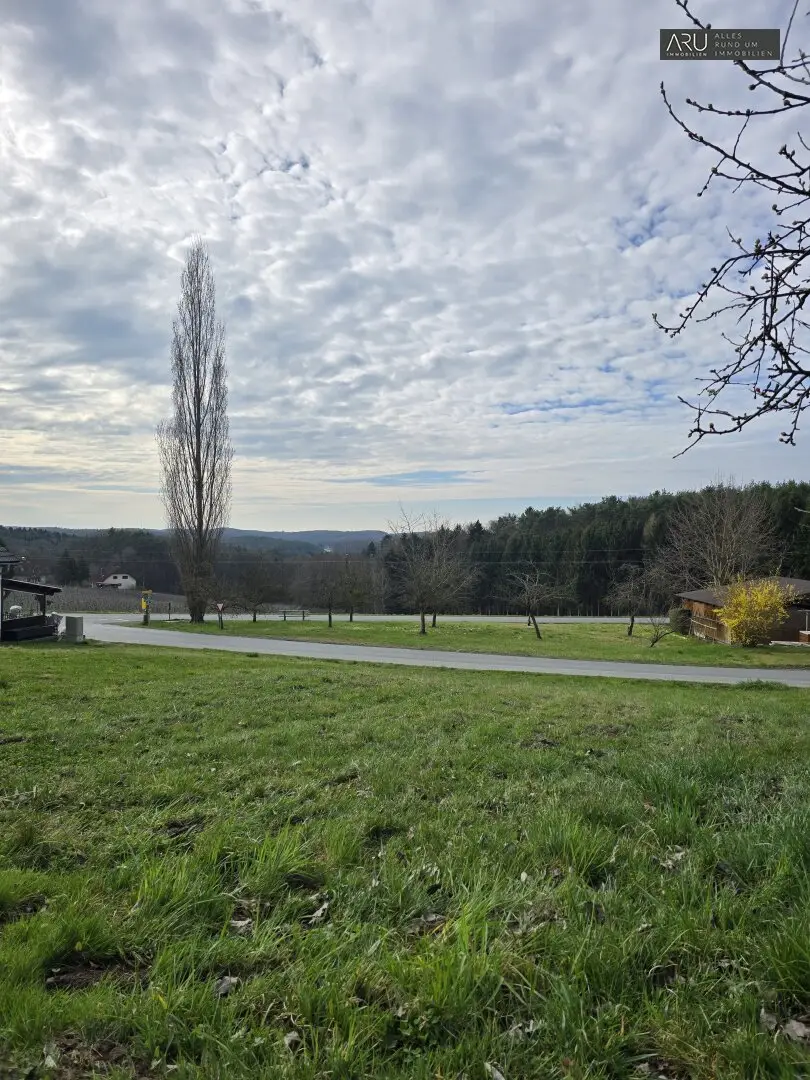 Large plot of land