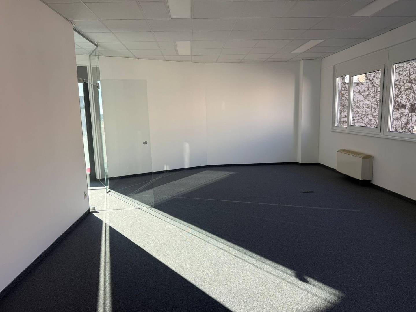 Moderne Bürofläche mit Terrasse, ca. 206 m² in 1220 Wien Donaustadt