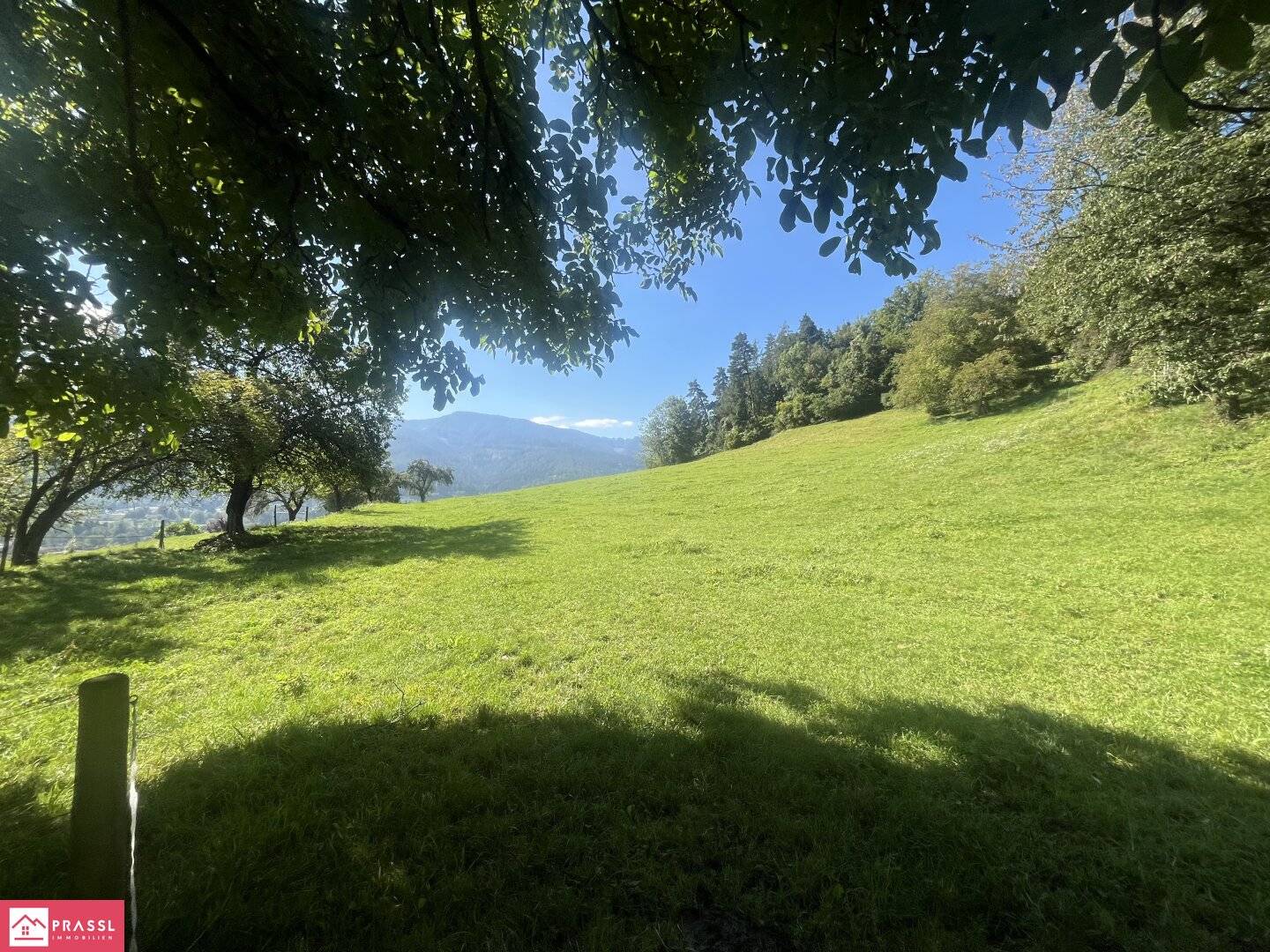 Bauträger & Entwickler aufgepasst! Traumgrundstück am Südhang mit Panoramablick – 2,4 ha Bau- & Bauerwartungsland in Proleb/Leoben