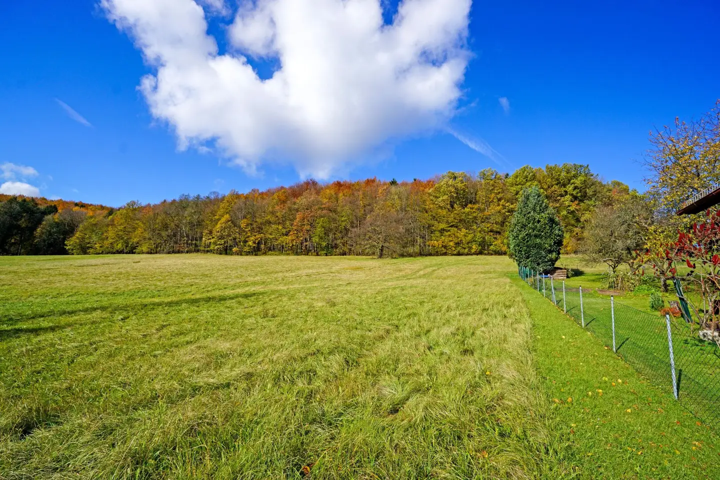 Generous, nature friendly plot in a sunny, tranquil location with a magnificent view