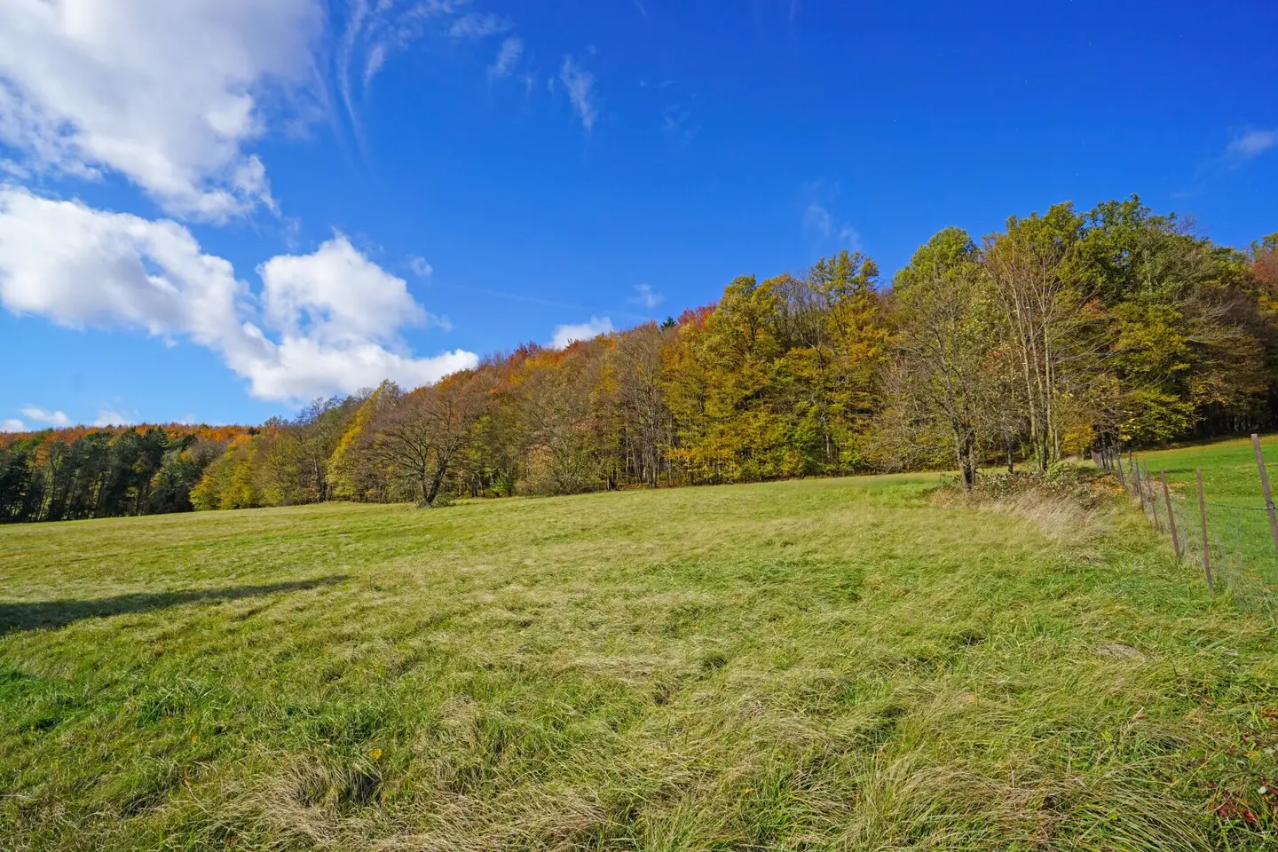 Generous, nature friendly plot in a sunny, tranquil location with a magnificent view