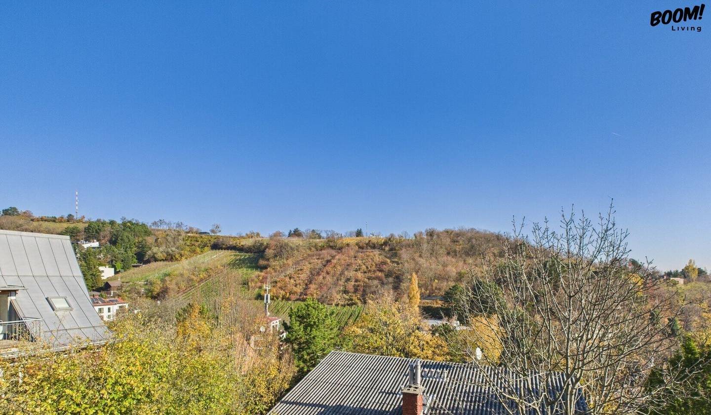 Apartment with two garage spaces and a 20 m² balcony with vineyard view
