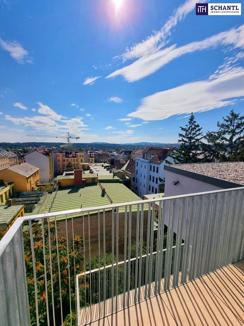 Penthouse with castle view