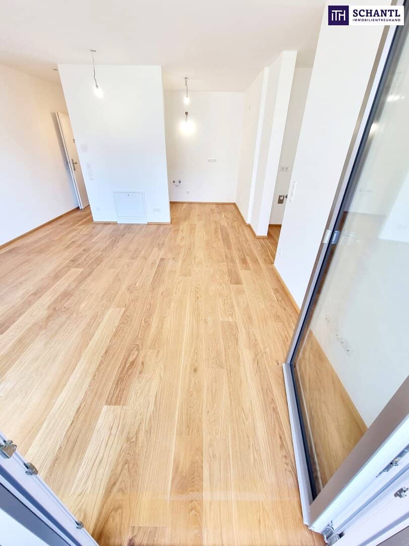 Neubau Wohnung Hoflage Balkon Energieeffizient