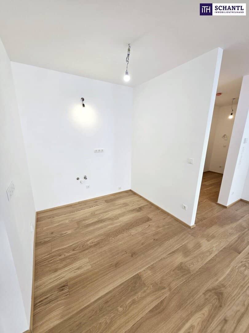 Neubau Praxis im EG, Wien 23.