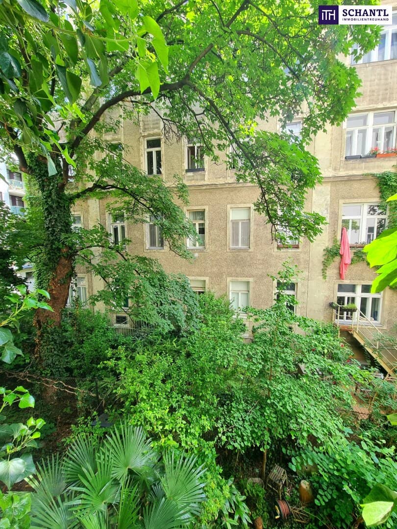 Immobilienbild 4