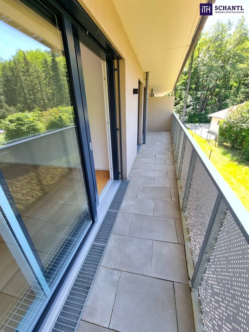 Immobilienbild 3