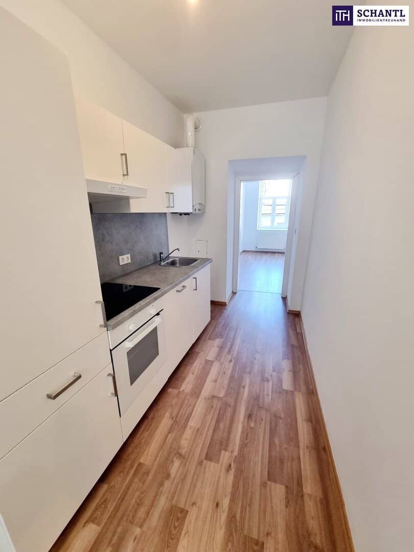 Wohnung ruhiger Hoftrakt Grünblick nahe U Bahn