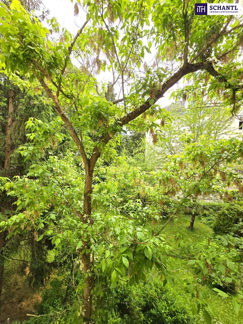 Wohnung hofseitig ruhige Lage hochwertig saniert