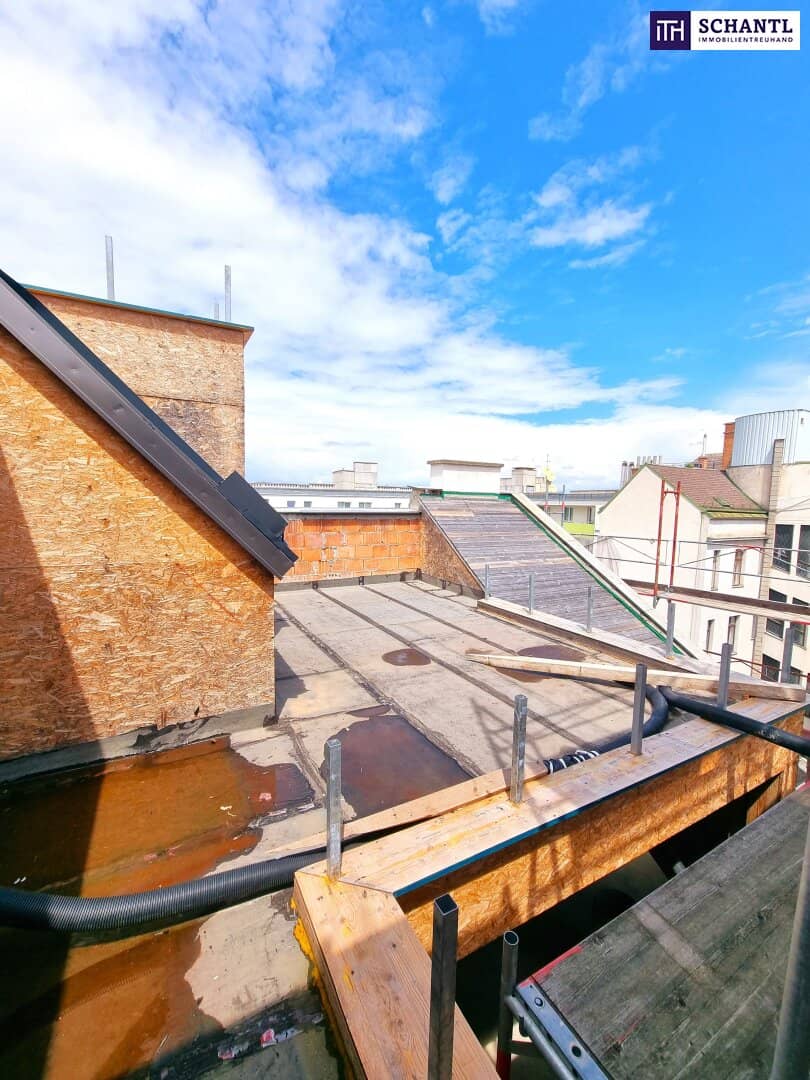 Attic apartment with two terraces and first occupancy