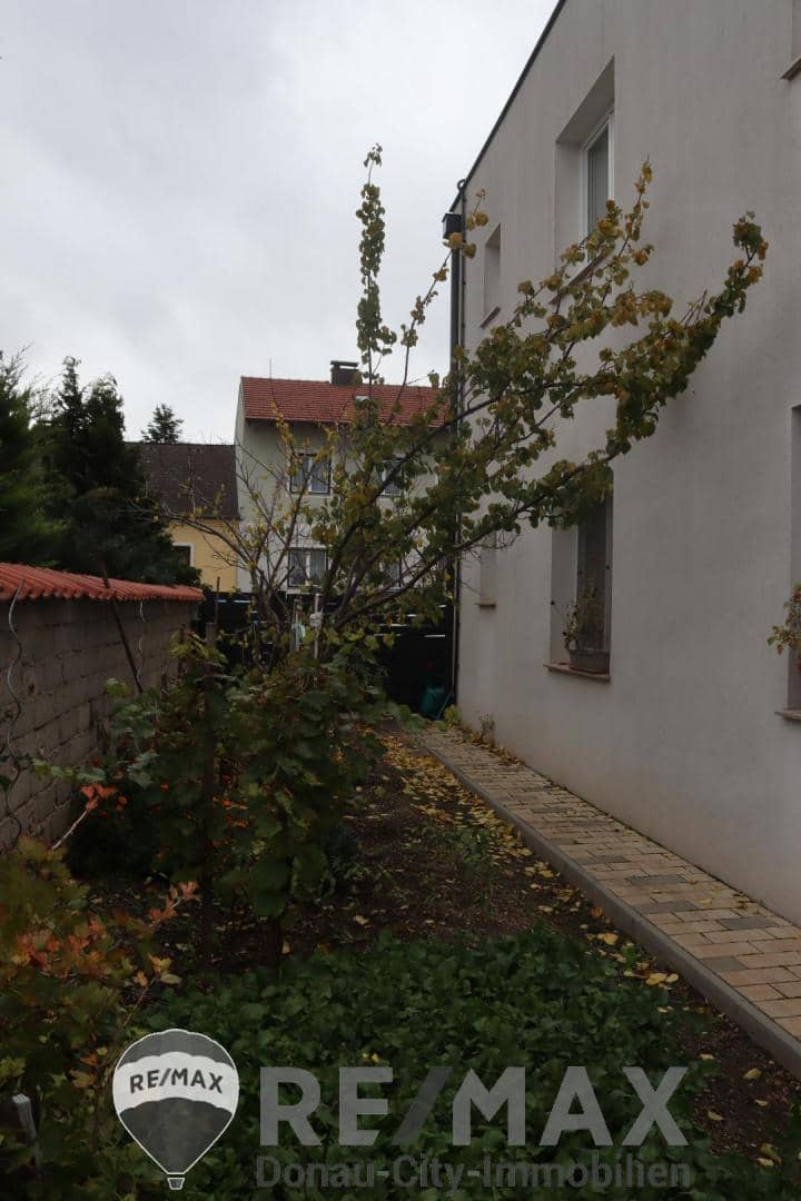 Immobilienbild 4
