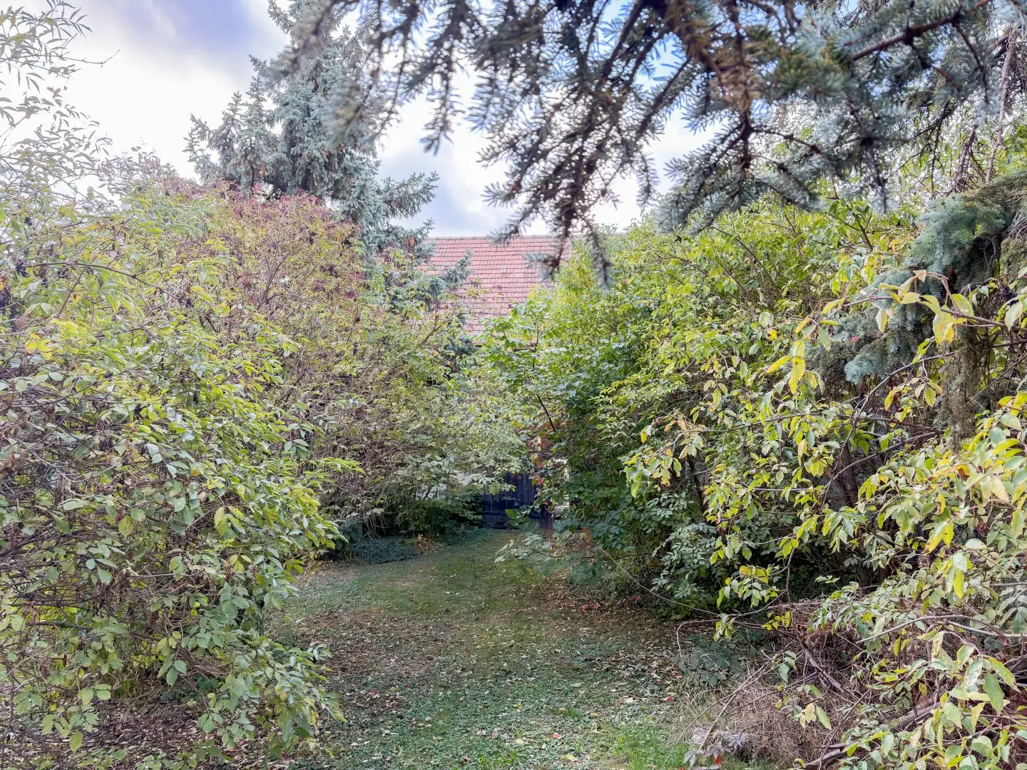 Immobilienbild 4