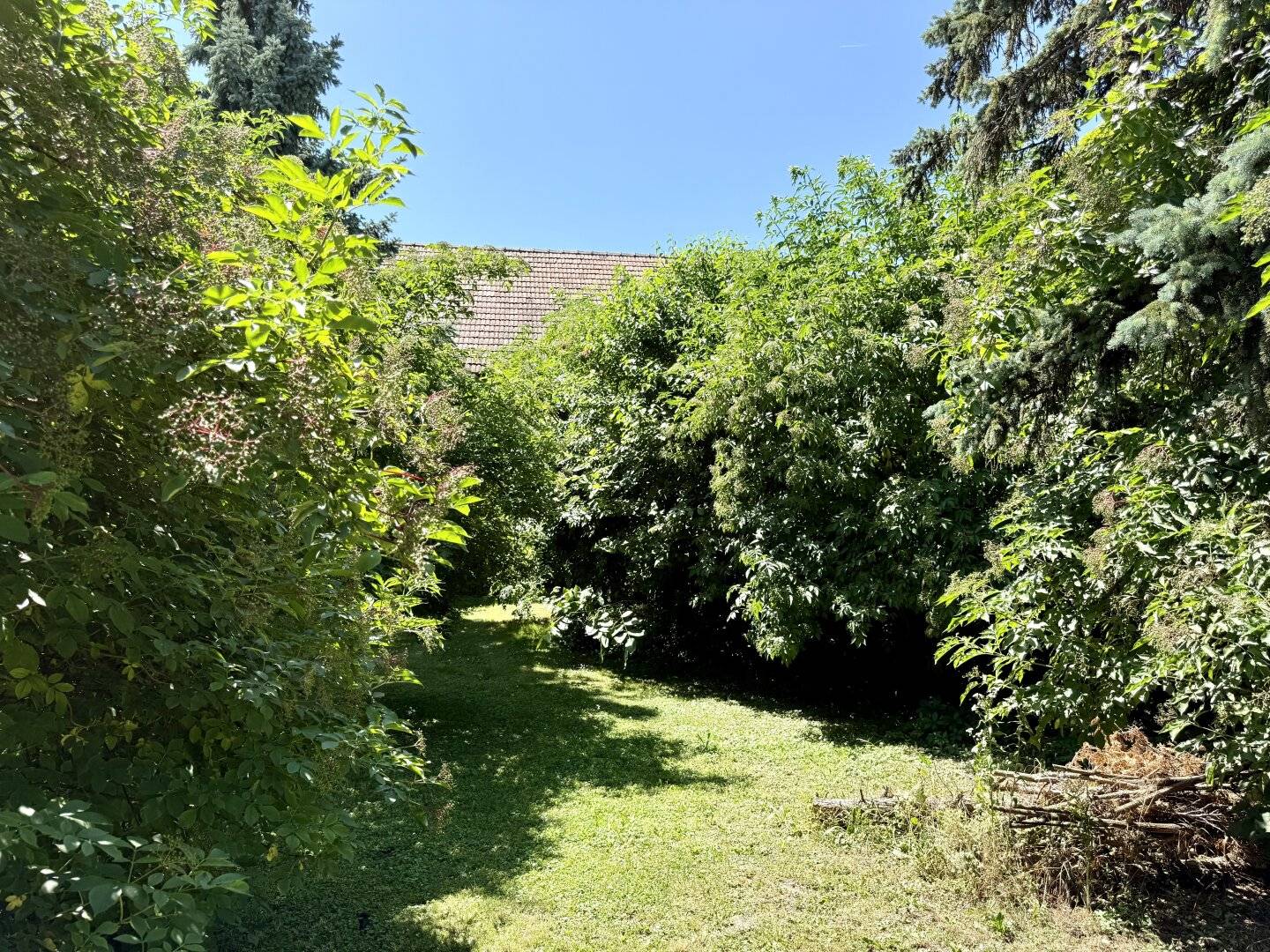 idyllischer verträumter Baugrund - 578 m² - kein vis-a-vis - Reh und Hase vor der Nase