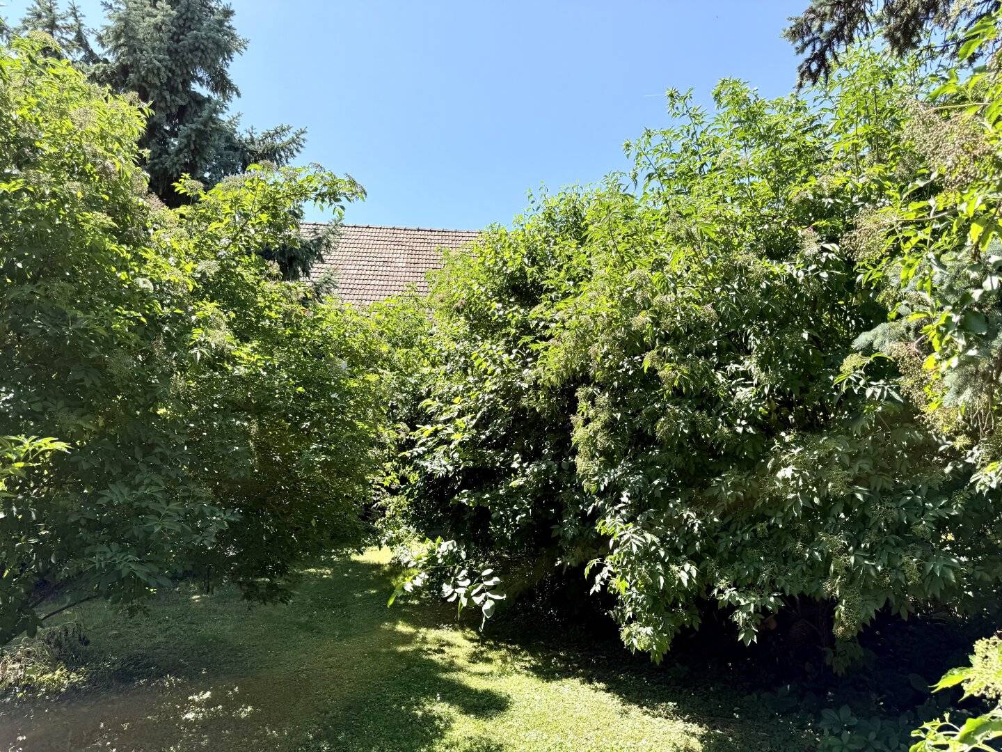 idyllischer verträumter Baugrund - 578 m² - kein vis-a-vis - Reh und Hase vor der Nase
