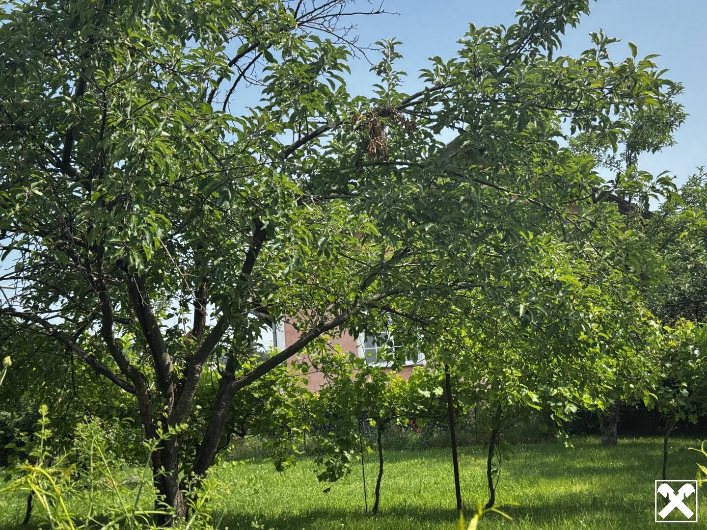 Schönes Baugrundstück in Ternitz – 677 m², Bauland Wohnen, ruhige Lage