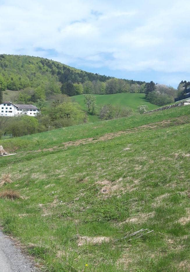 Grundstück in Waidhofen an der Ybbs ohne Bauverpflichtung, 990 m²