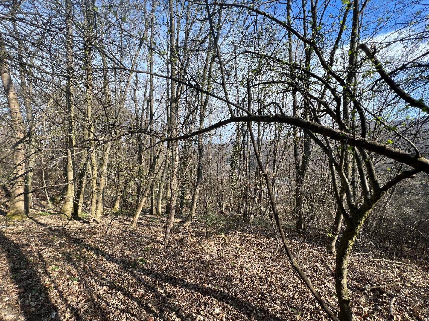 Grundstück mit Hausprojekt im 14. Bezirk Wiens