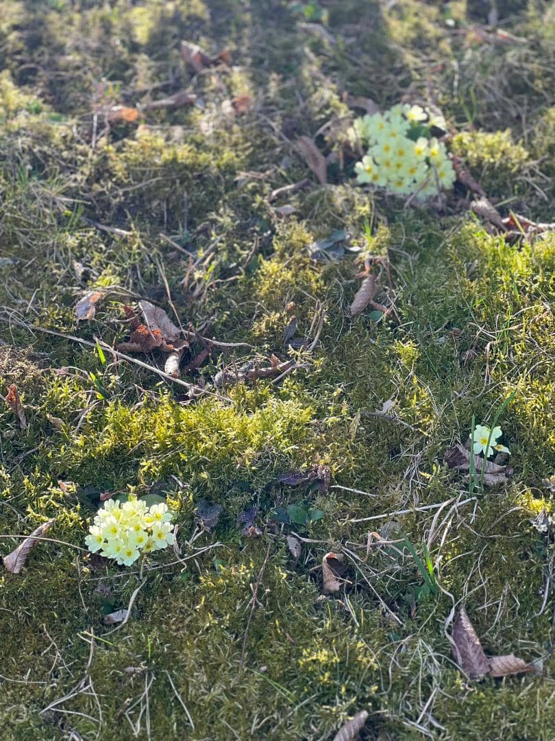 Grundstück mit Hausprojekt im 14. Bezirk Wiens