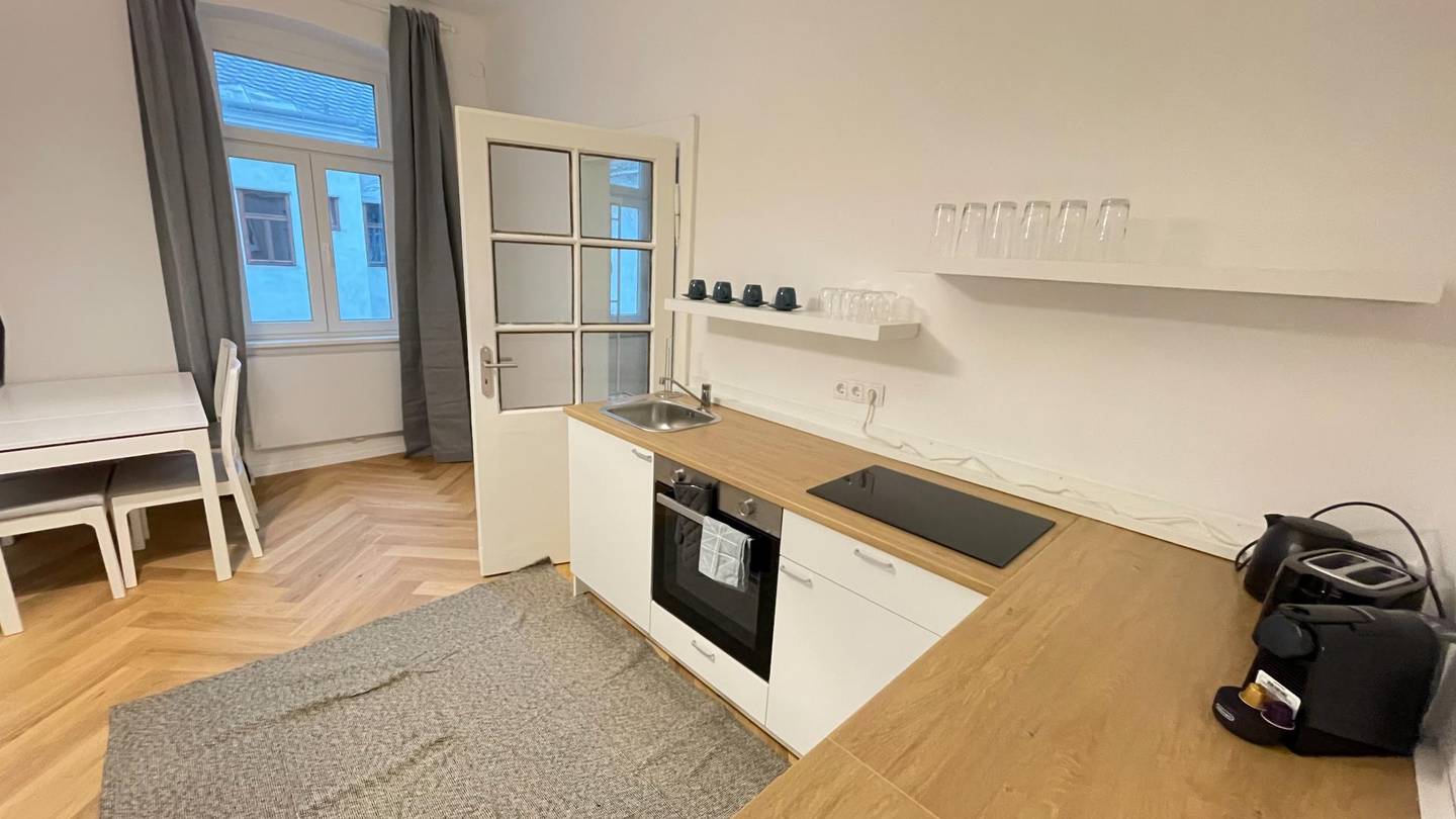 Apartment near Schönbrunn sunny and furnished
