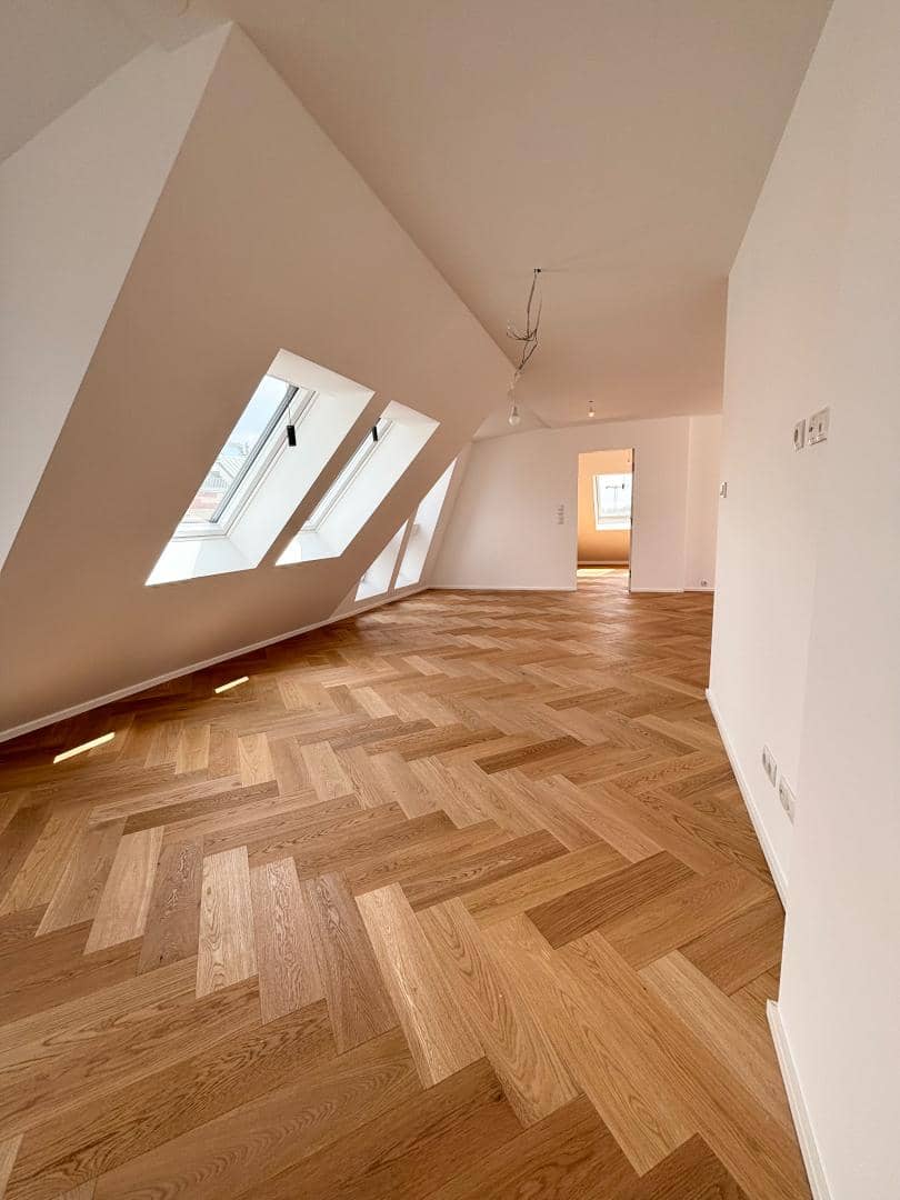 Attic Apartment First Occupancy With Terrace