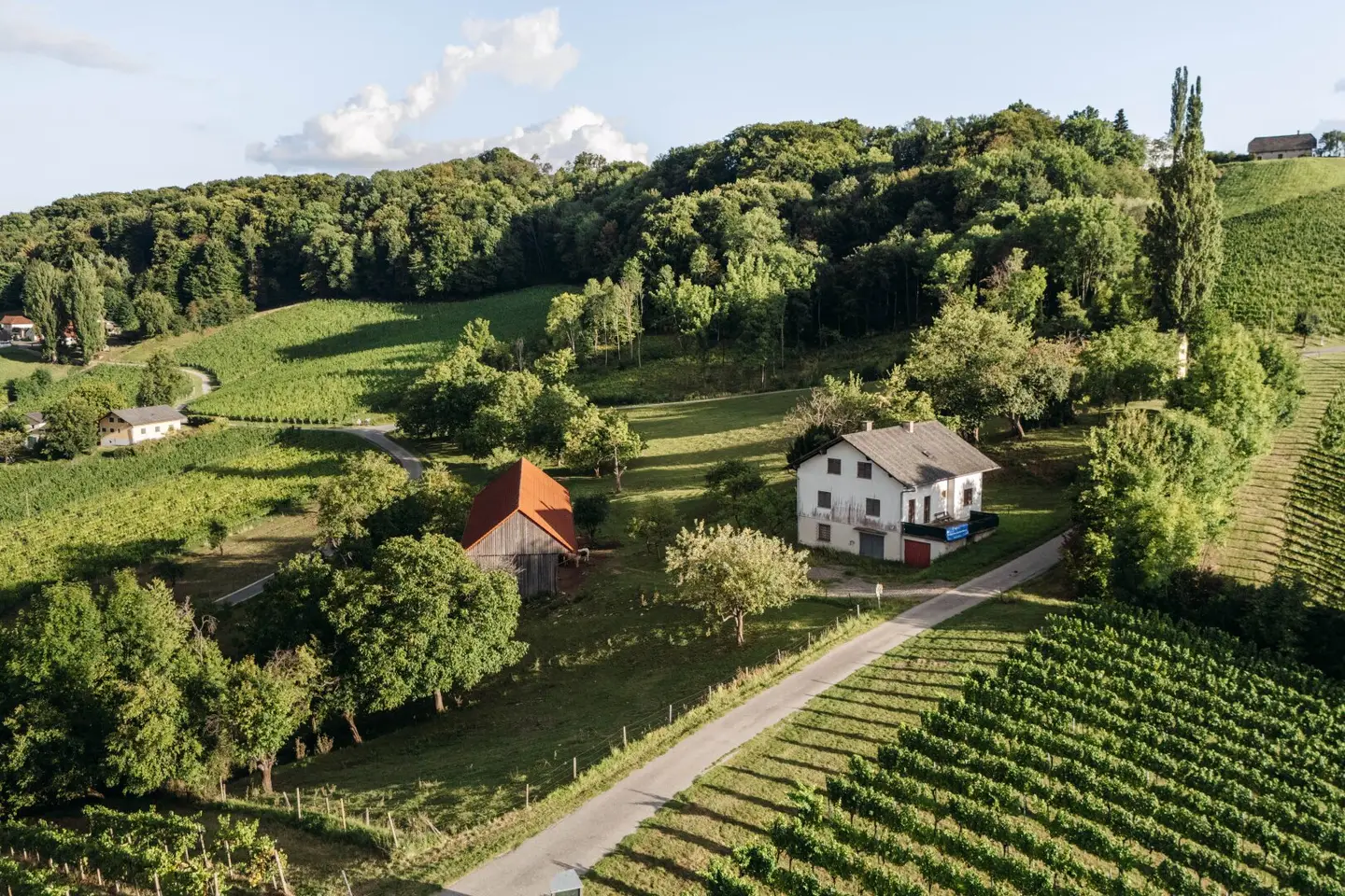 Obegg–Graßnitzberg: Wo Visionen Raum bekommen – Außergewöhnliches Anwesen mit Weitblick und Entwicklungspotenzial zu einem sensationellen Preis!