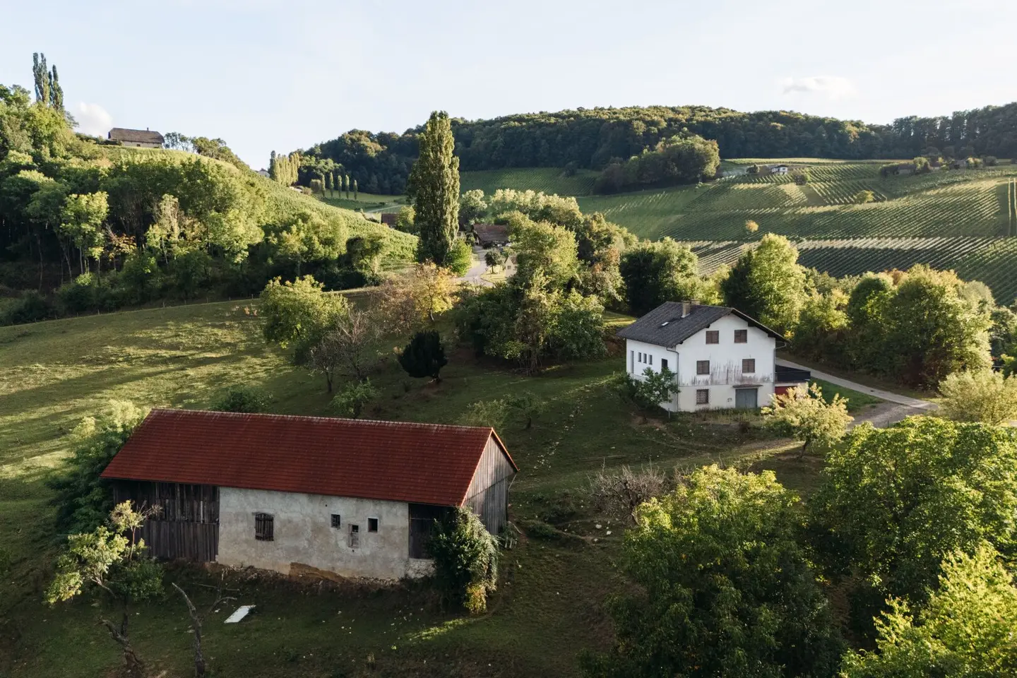 Obegg–Graßnitzberg: Where visions gain space – Extraordinary estate with panoramic views and development potential at a sensational price