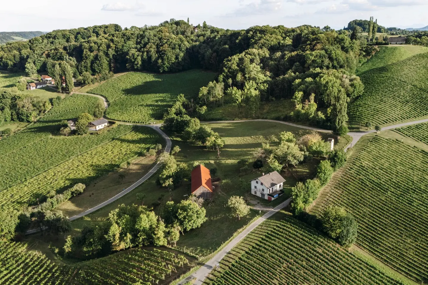 Obegg–Graßnitzberg: Wo Visionen Raum bekommen – Außergewöhnliches Anwesen mit Weitblick und Entwicklungspotenzial zu einem sensationellen Preis!