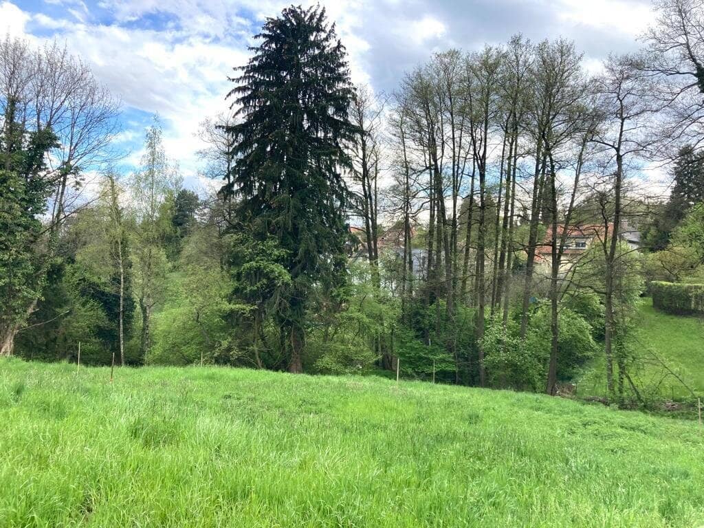 RARITÄT IN GRAZ-GEIDORF: Ihr Sonnengrundstück am begehrten Rosenberg!