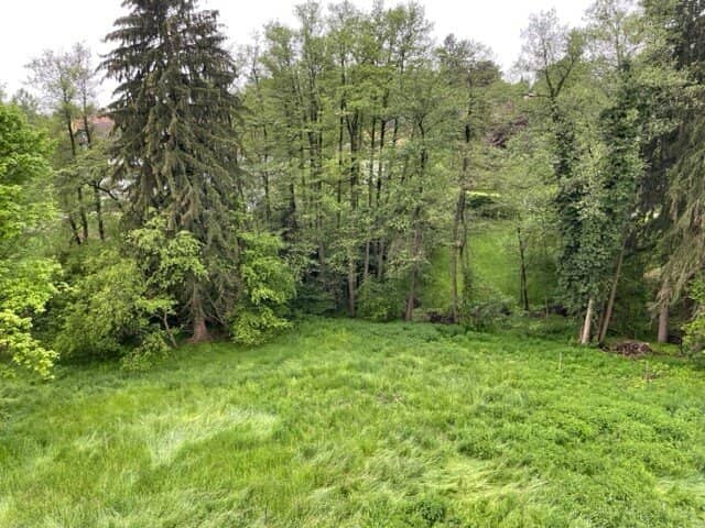 RARITÄT IN GRAZ-GEIDORF: Ihr Sonnengrundstück am begehrten Rosenberg!