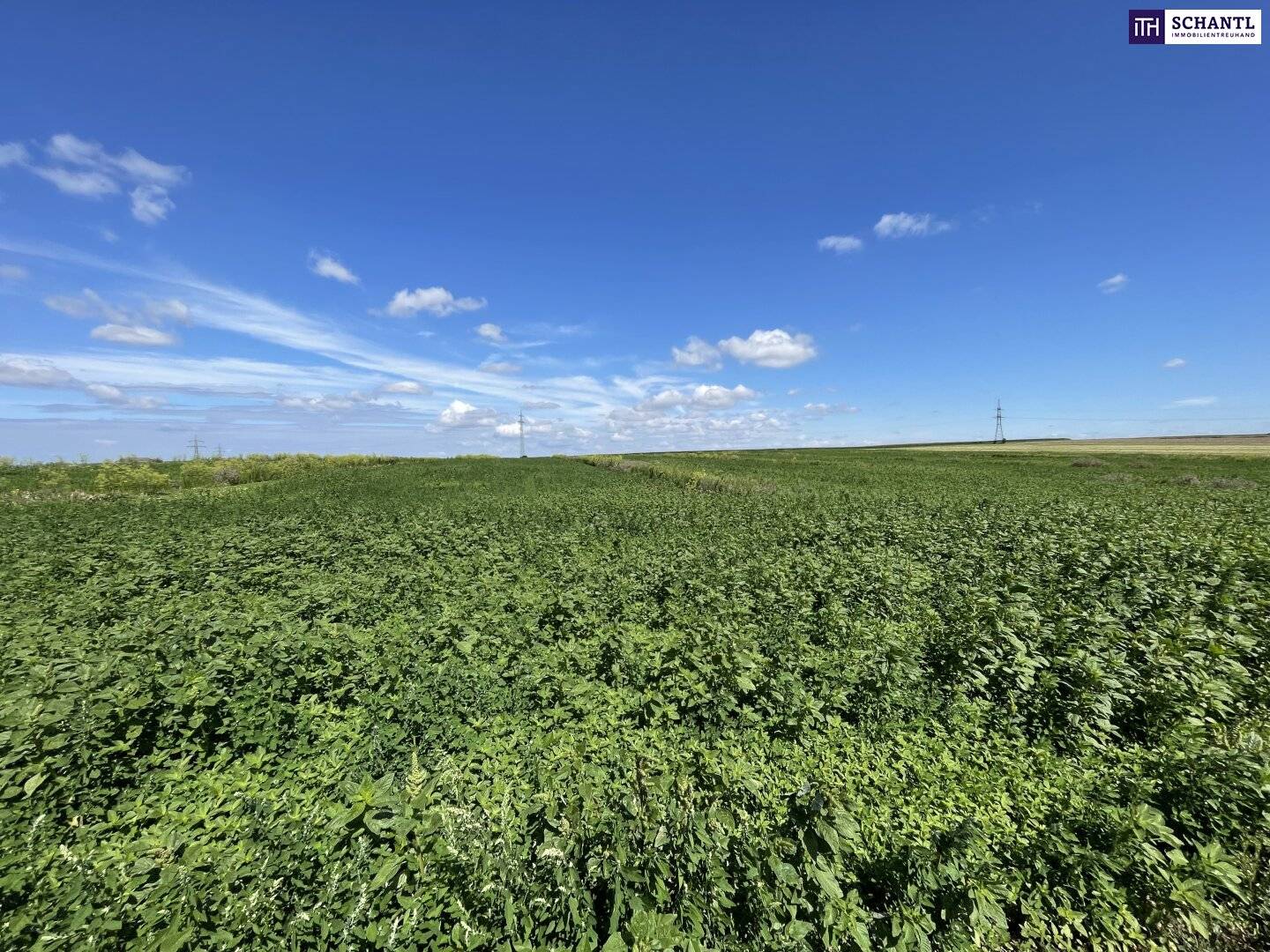 Landwirtschaftliches Grundstück mit guter Anbindung in Moosbrunn