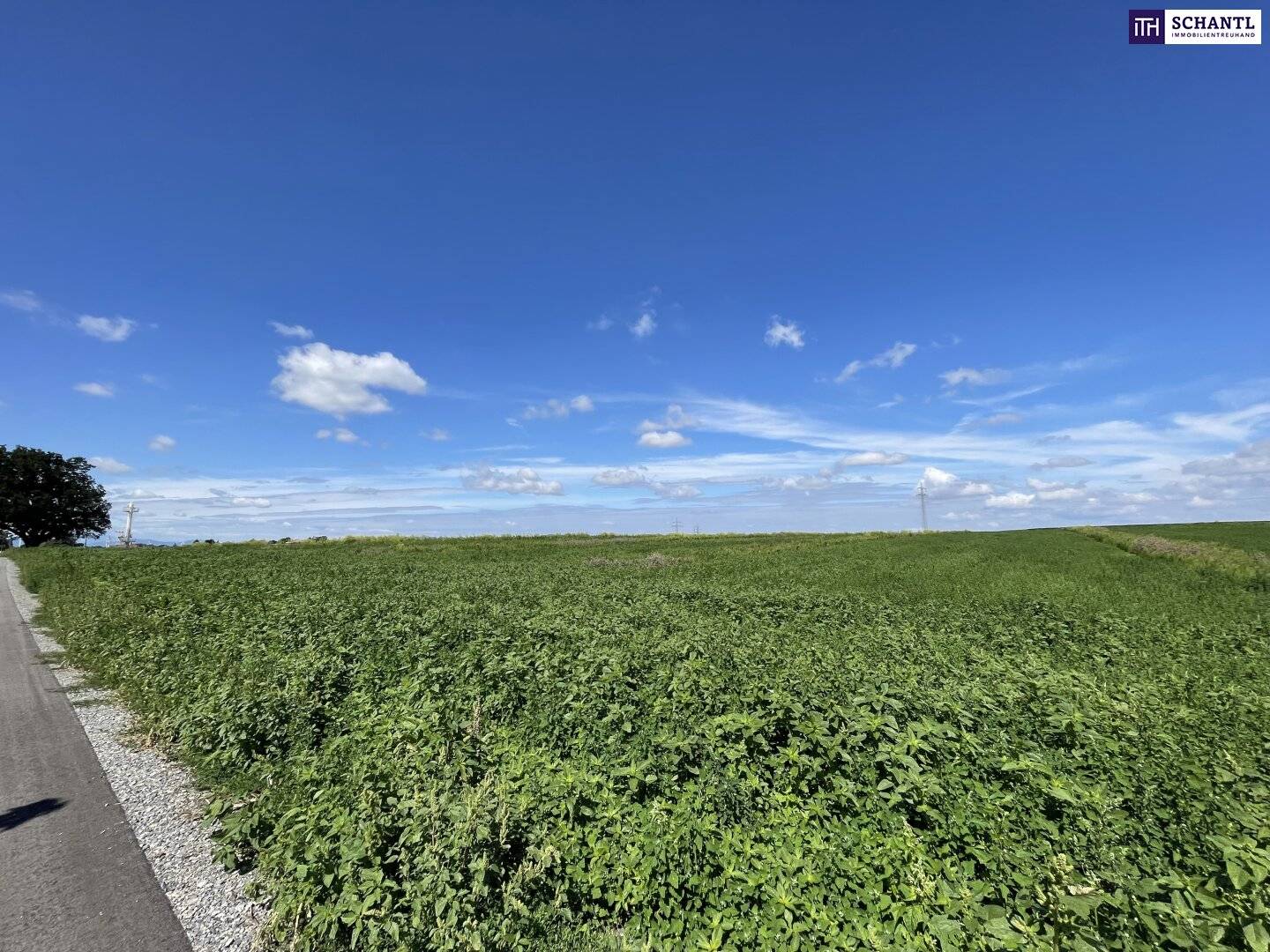 Landwirtschaftliches Grundstück mit guter Anbindung in Moosbrunn