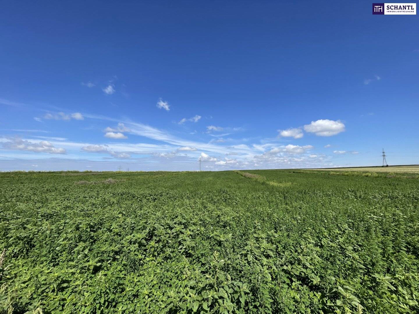 Landwirtschaftliches Grundstück mit guter Anbindung in Moosbrunn