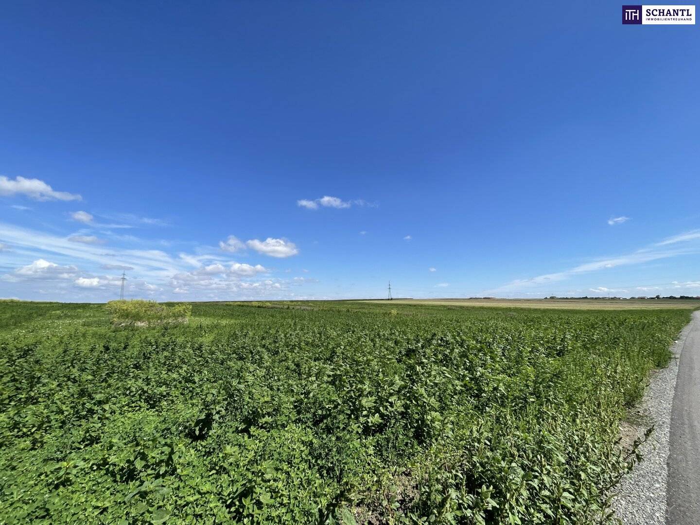 Landwirtschaftliches Grundstück mit guter Anbindung in Moosbrunn