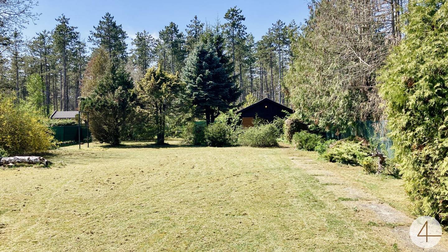 804 m² Baugrundstück in Föhrenau (NÖ) – Waldrand, Ruhelage nahe