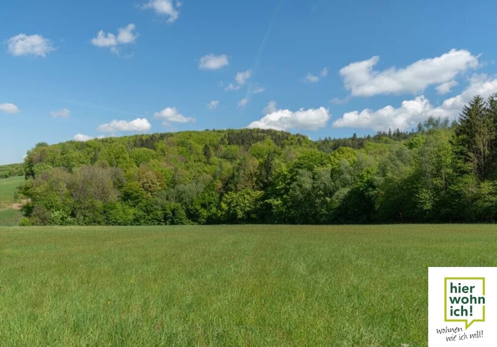 Idyllic building plot for multiple houses, 12 minutes from the Vienna city limits in Vienna area? No, the Vienna city limits are in Vienna; Keep it as is? Wait, the German title says 12 Minuten von der Stadtgrenze Wien entfernt