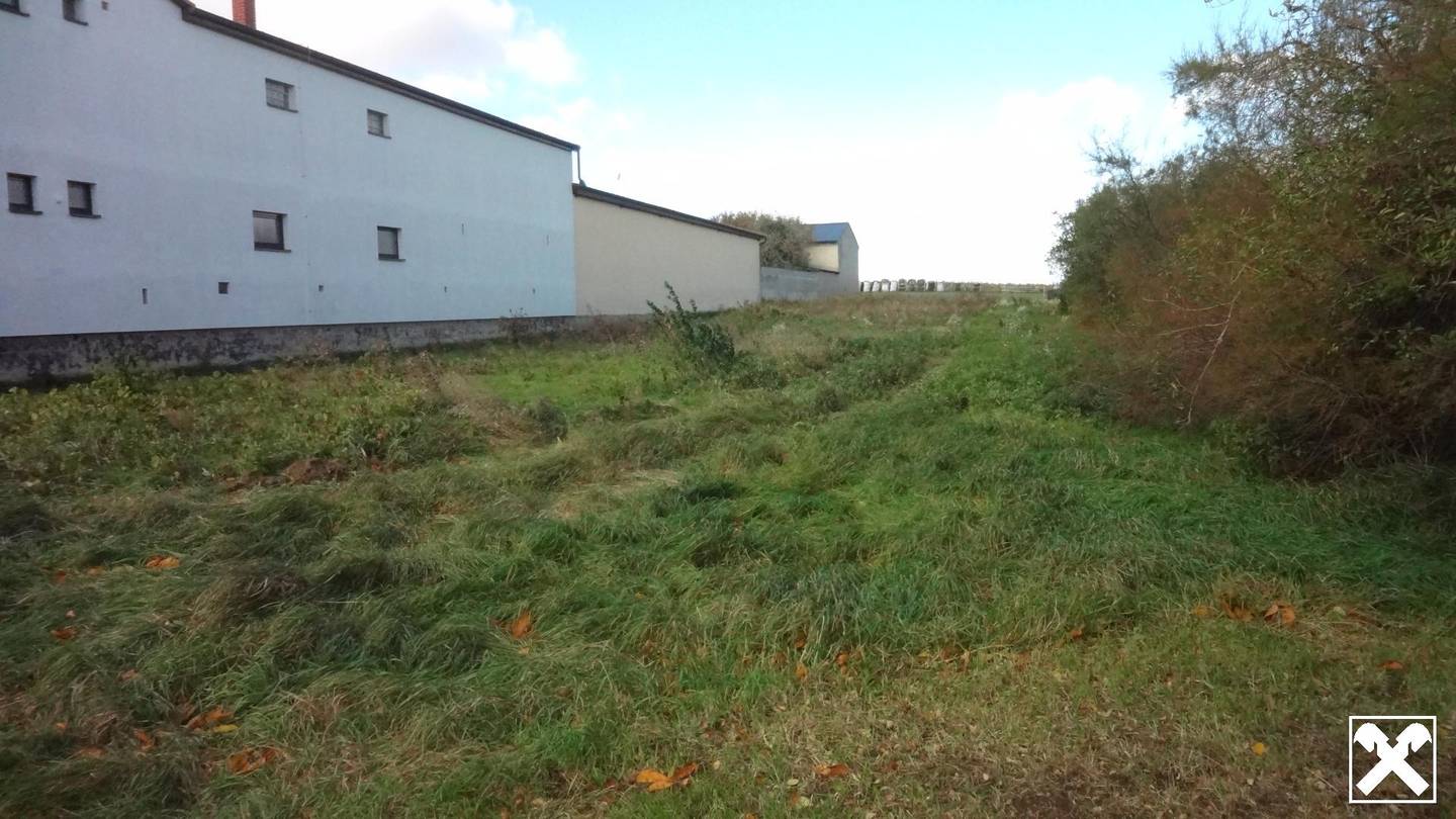 Aufgeschlossenes Baugrundstück in bester Lage am Ortsrand von Gols