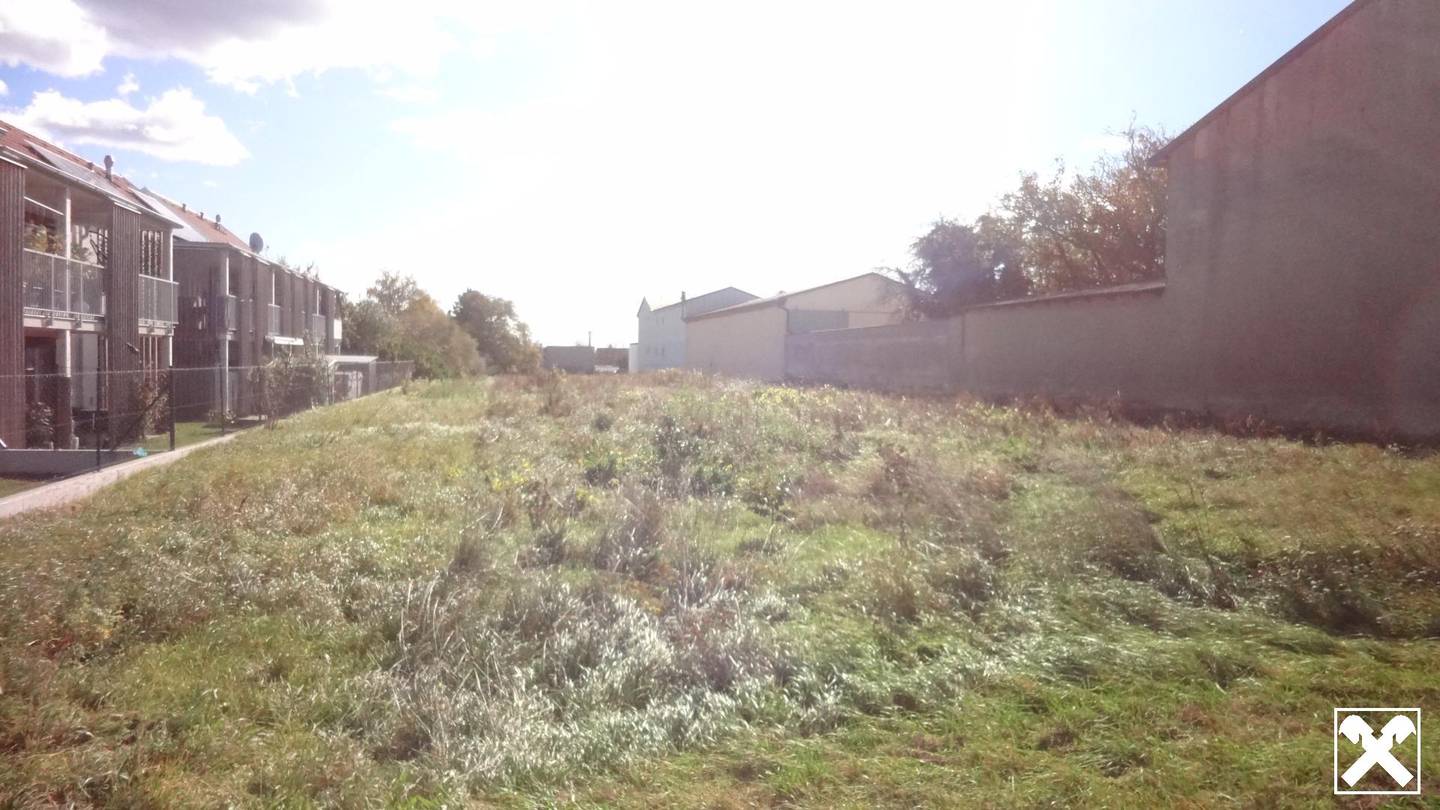 Aufgeschlossenes Baugrundstück in bester Lage am Ortsrand von Gols