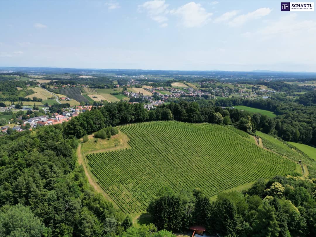 IHRE EIGENEN CHALETS! TRAUMHAFTES GRUNDSTÜCK AN DER SÜDSTEIRISCHEN WEINSTRASSE! Ein Ausblick der Ihnen die Sprache verschlagen wird - im schönsten Teil der grünen Steiermark
