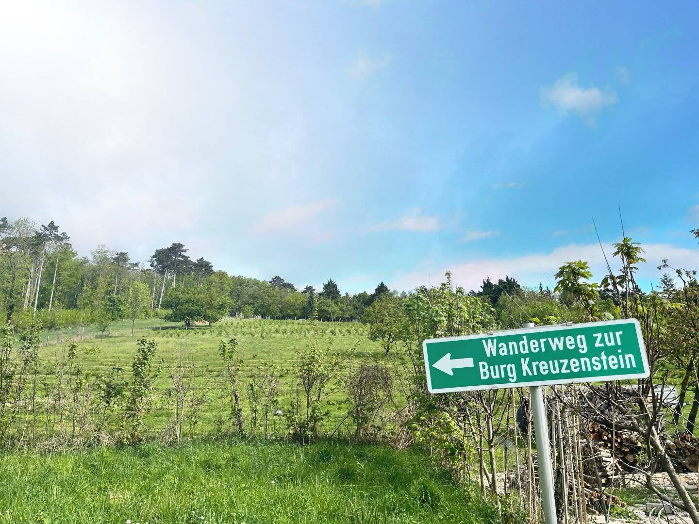 Leobendorf: Baugrundstück nahe Burg Kreuzenstein, 502 m², Südwestlage