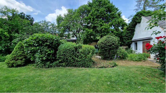 seitliche Gartenansicht