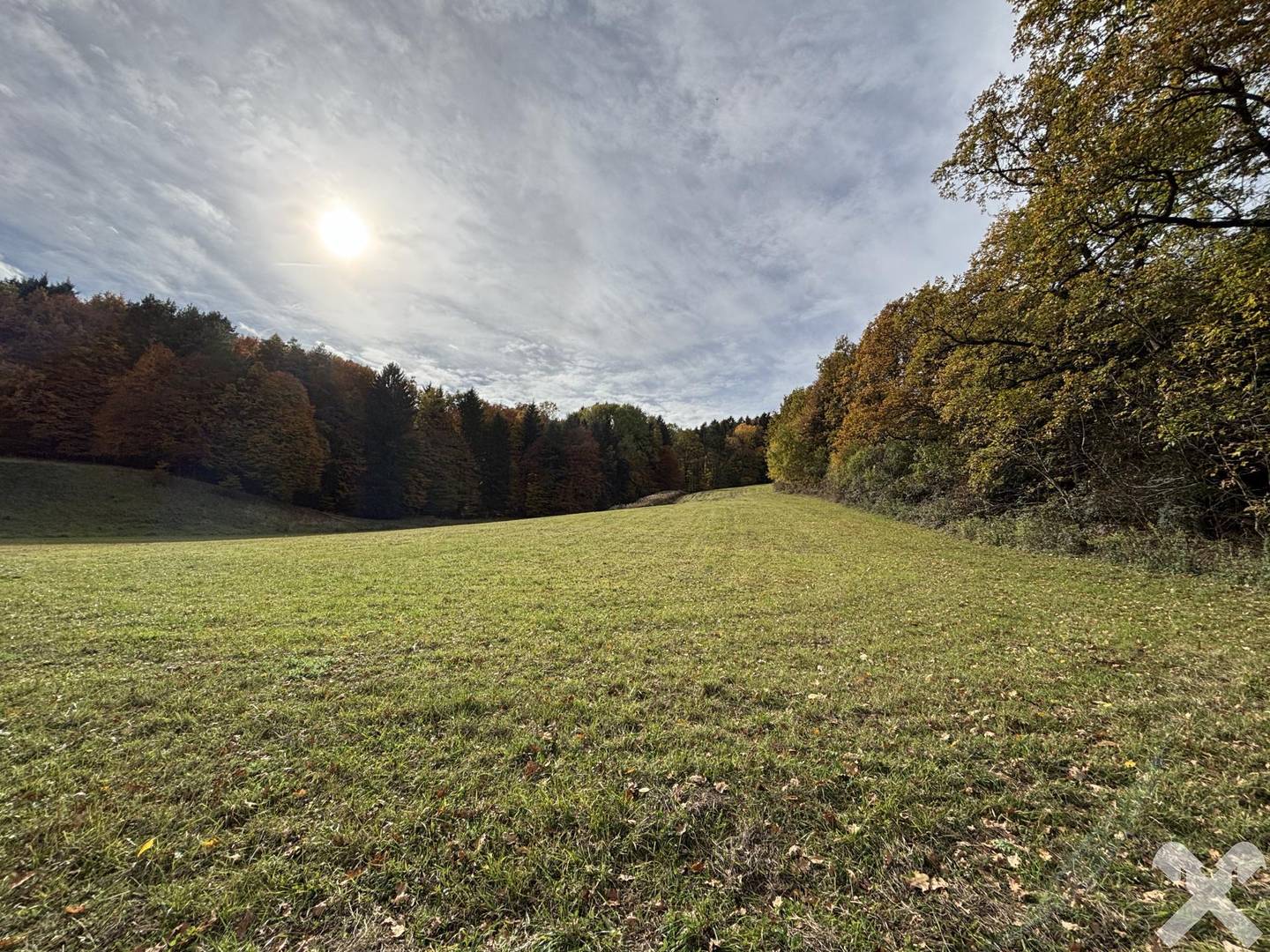 Landwirtschaftliche Fläche in Bad Waltersdorf – 27.442 m², teils Wald