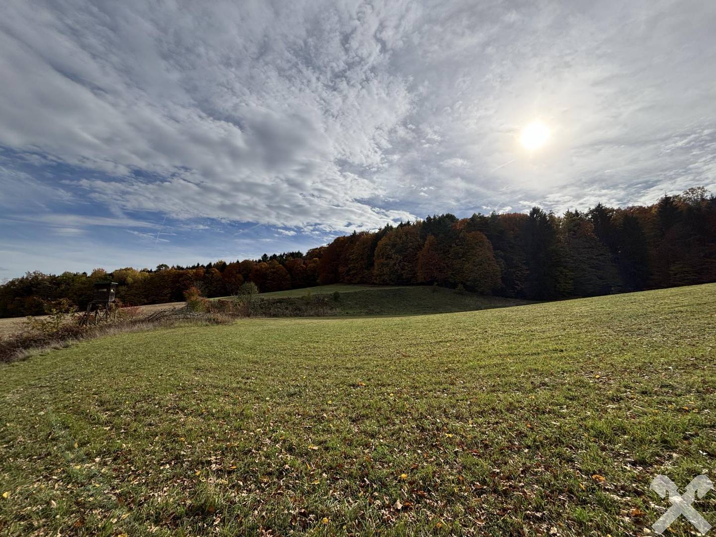 Landwirtschaftliche Fläche in Bad Waltersdorf – 27.442 m², teils Wald