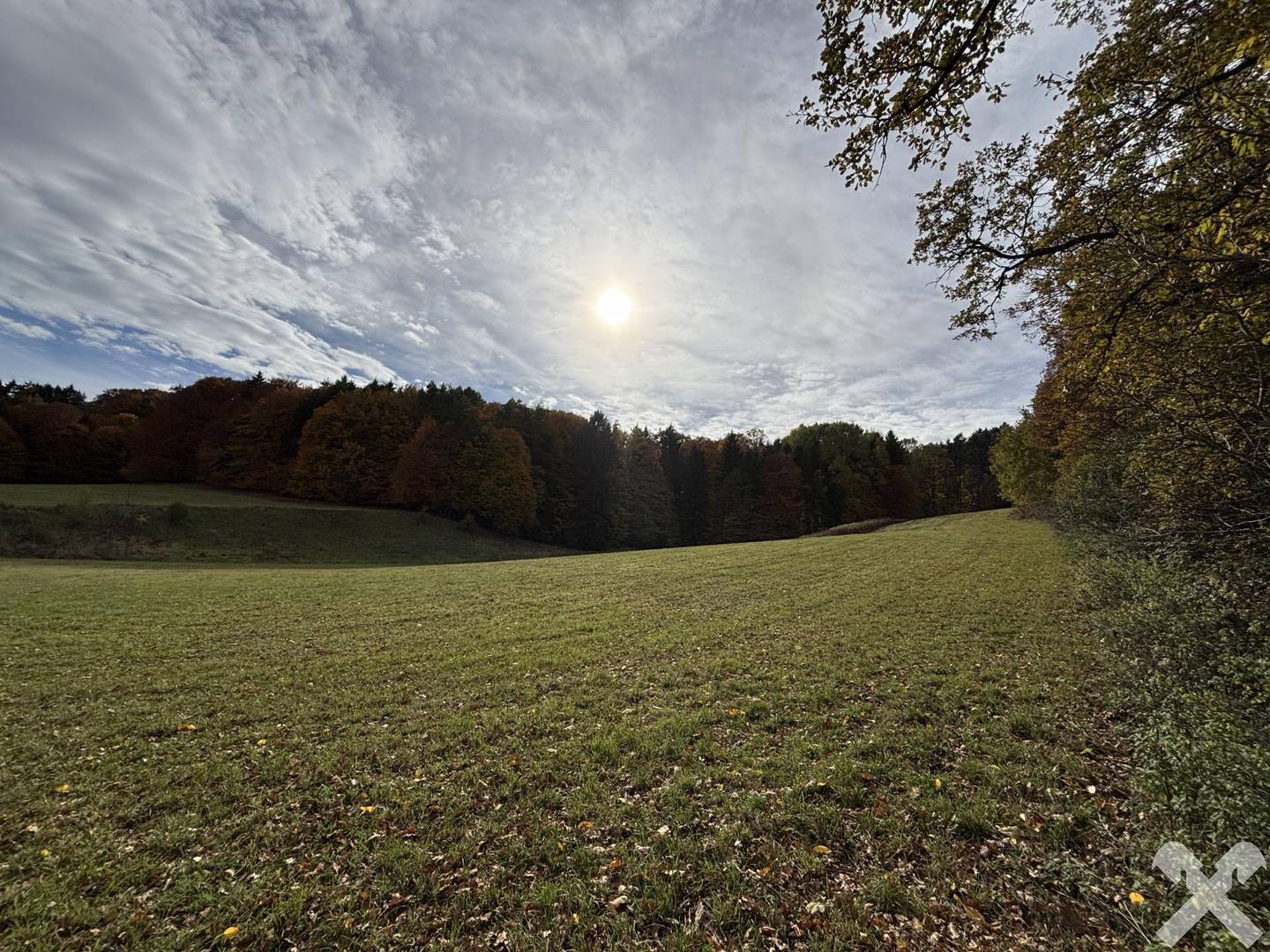 Landwirtschaftliche Fläche in Bad Waltersdorf – 27.442 m², teils Wald