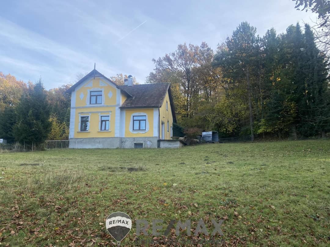 02 Landhaus mit Wiese