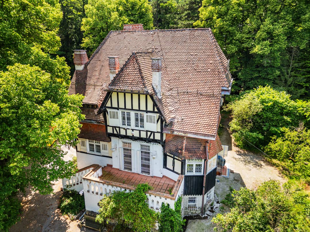 Zwei Villen in privatem Park in Mödling nahe Wien mit Pool und Garten
