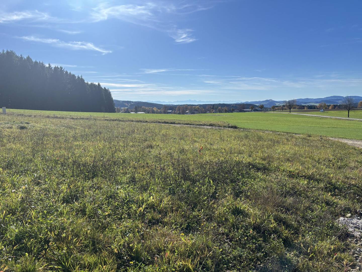 Baugrundstücke Grünbach bei Freistadt