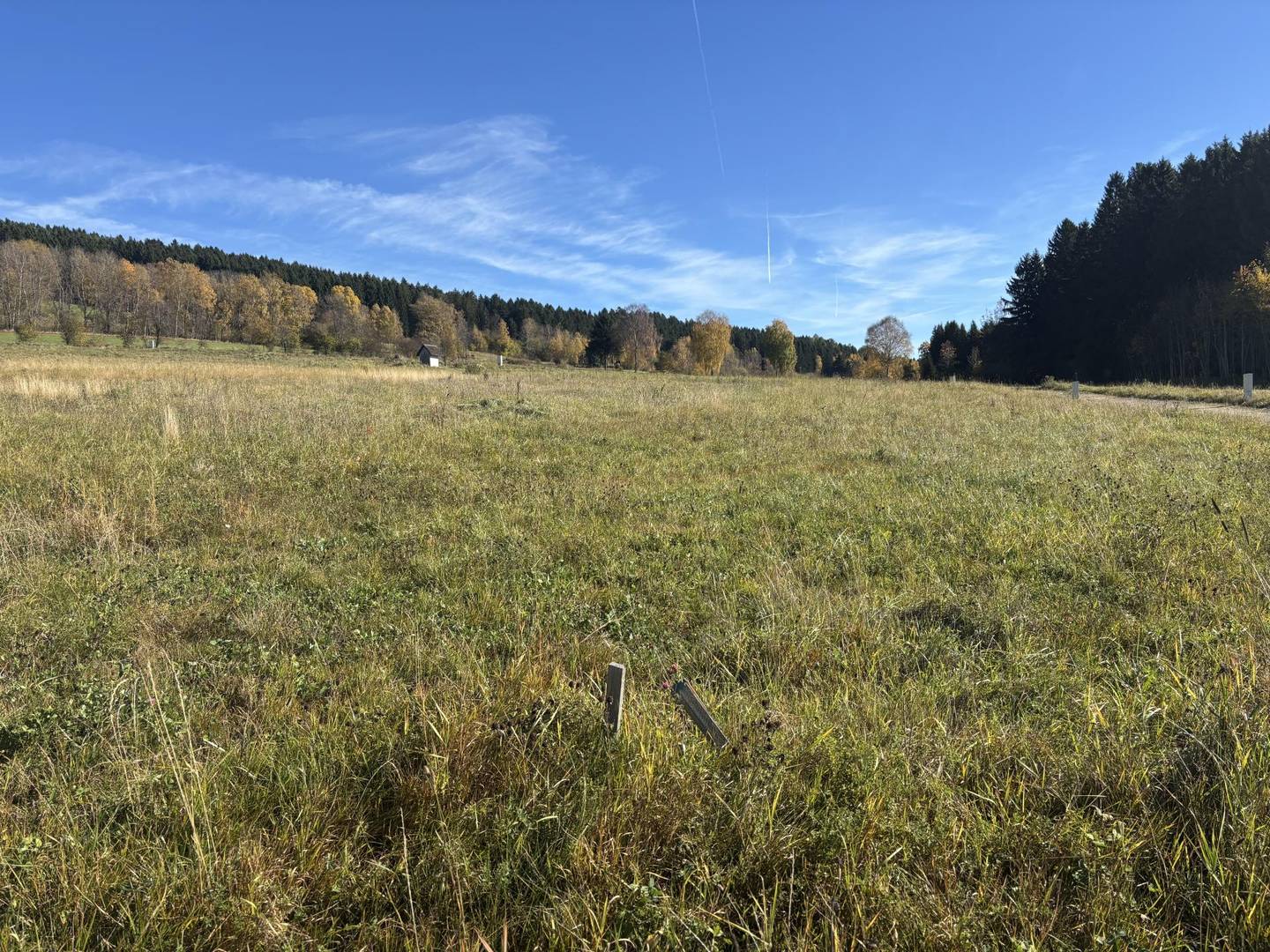 Baugrundstücke Grünbach bei Freistadt